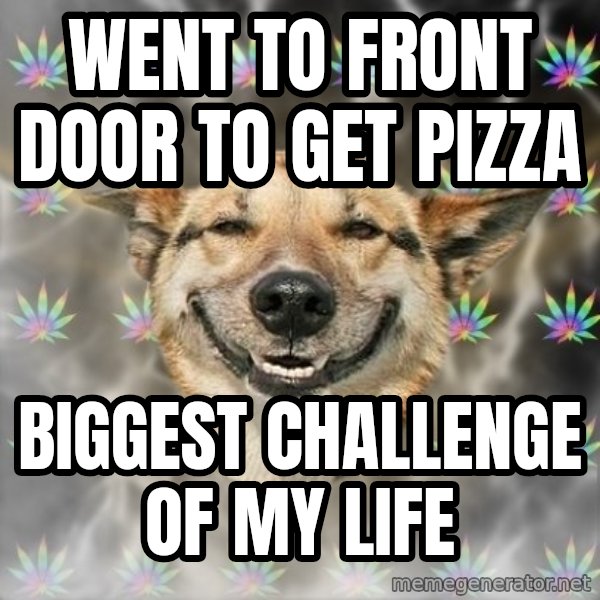Stoner Dog meme: went to front door to get pizza / biggest challenge of my life
