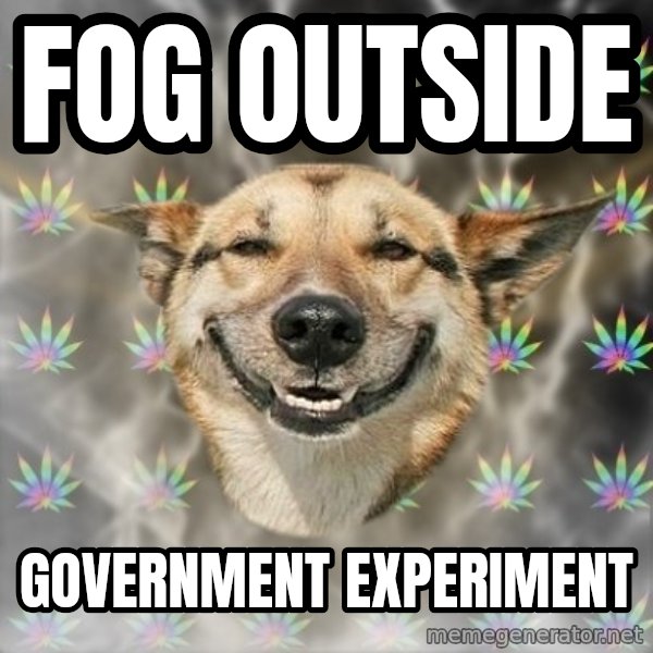 Stoner Dog meme: fog outside / Government experiment
