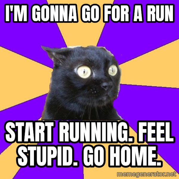 Anxiety Cat meme: I'm gonna go for a run / start running. feel stupid. go home.