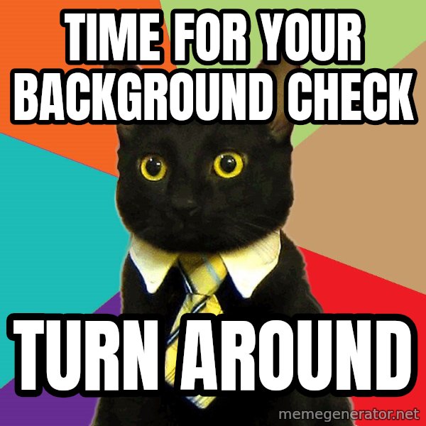 Business Cat meme: time for your background check / turn around