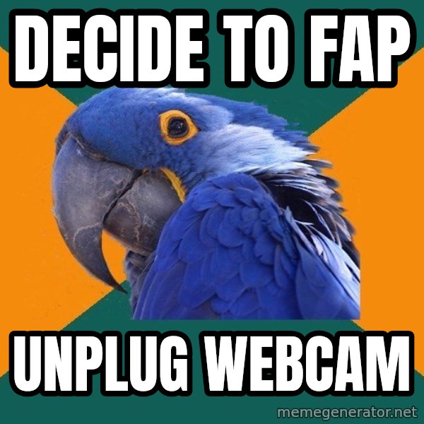Paranoid Parrot meme: Decide to FAP / UNPLUG WEBCAM