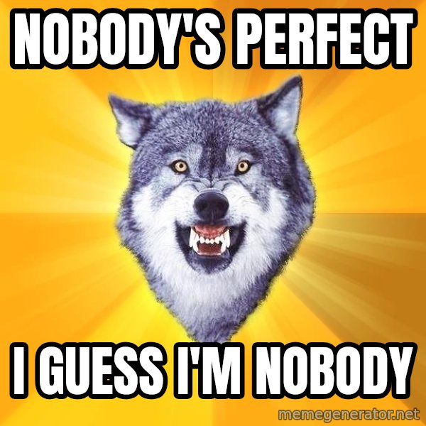 Courage Wolf meme: Nobody's perfect / i guess i'm nobody