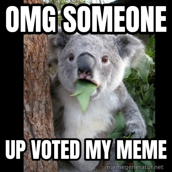 Koala can't believe it meme: OMG someone / up voted my meme