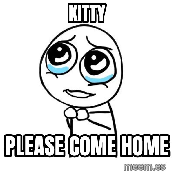 pleaseguy  meme: Kitty / Please Come home