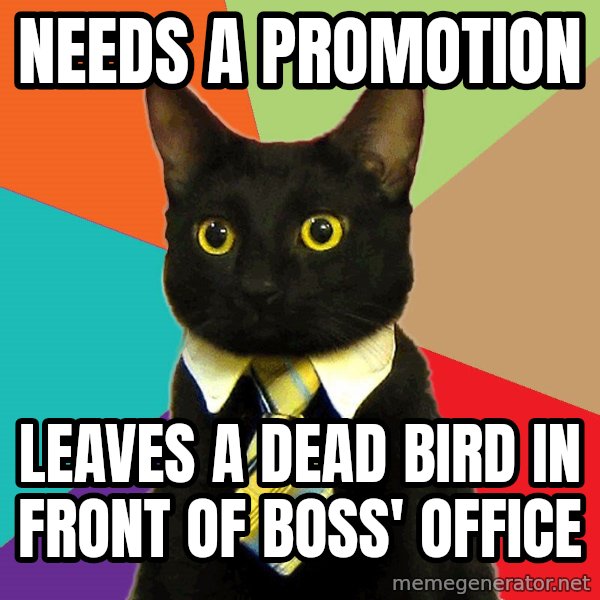 Business Cat meme: Needs a promotion / leaves a dead bird in front of boss' office