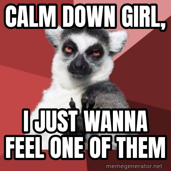 Chill Out Lemur meme: Calm down girl, / i just wanna feel one of them