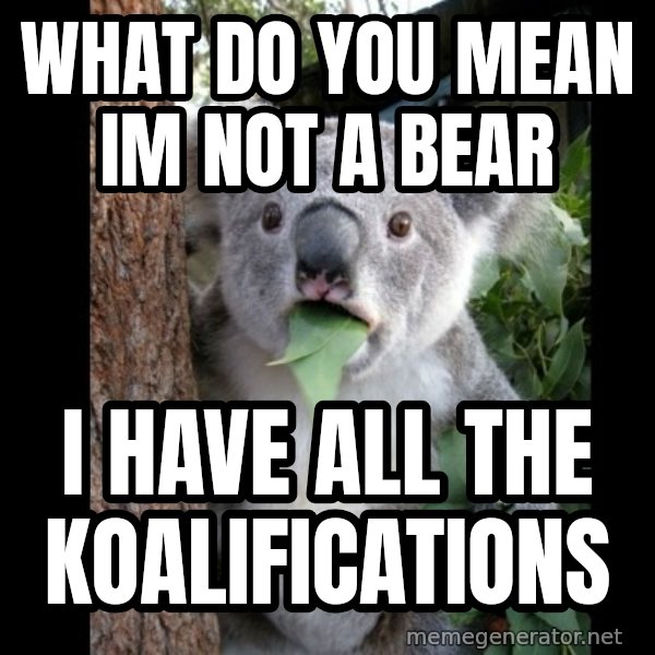 Koala can't believe it meme: What do you mean im not a bear / I have all the Koalifications