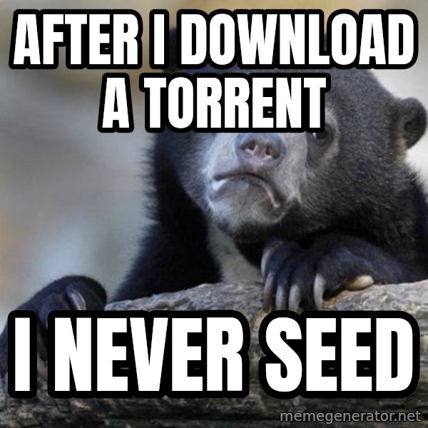 Confession Bear meme: AFter i download a torrent / i never seed