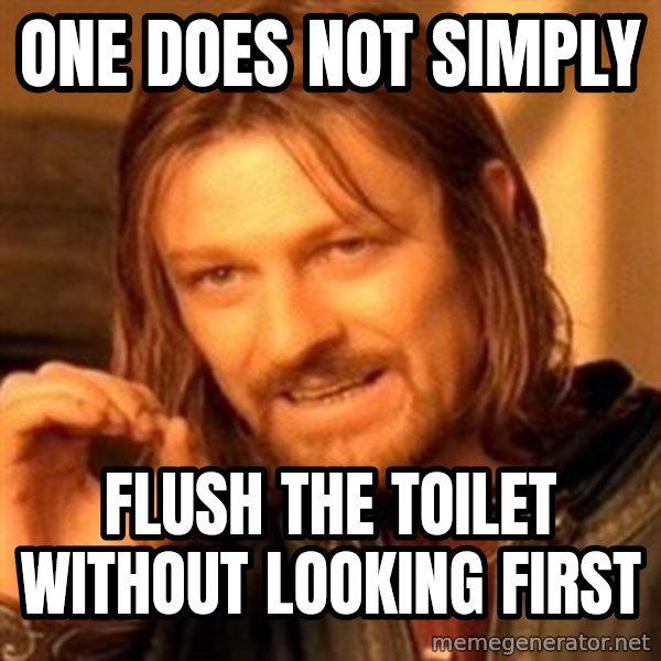 One Does Not Simply meme: one does not simply / flush the toilet without looking first