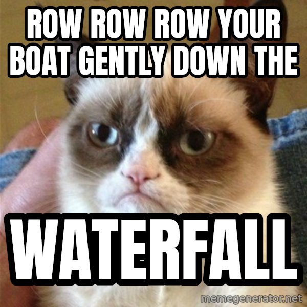 Grumpy Cat  meme: row row row your boat gently down the / waterfall