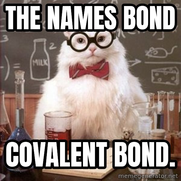 Chemistry Cat meme: The names bond / covalent bond.