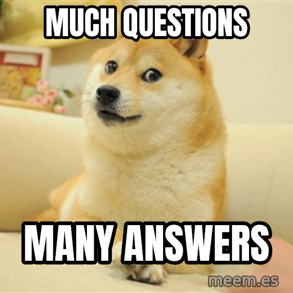 so doge meme: much questions / many answers