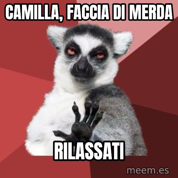 Chill Out Lemur meme: Camilla, faccia di merda / rilassati