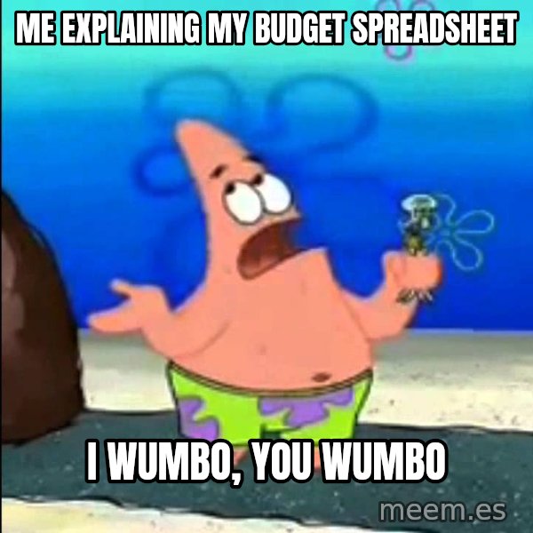 I Wumbo, You Wumbo meme: Me explaining my budget spreadsheet / I wumbo, you wumbo