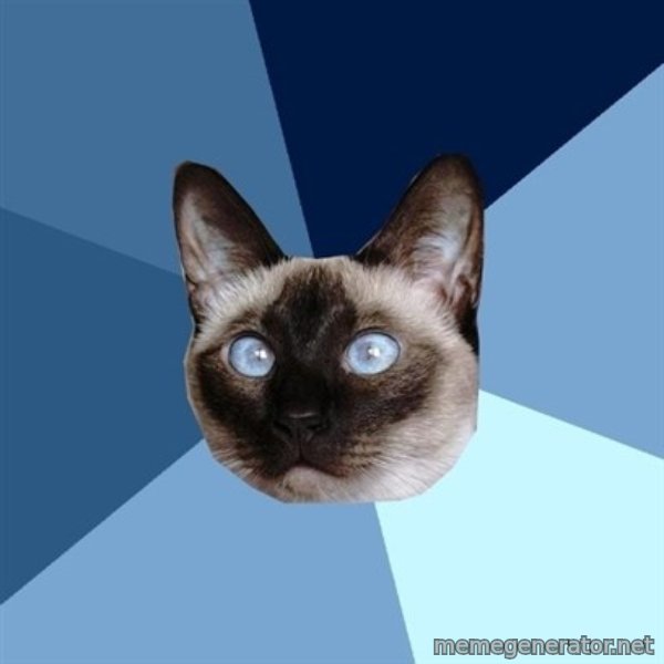Chronic Illness Cat meme template