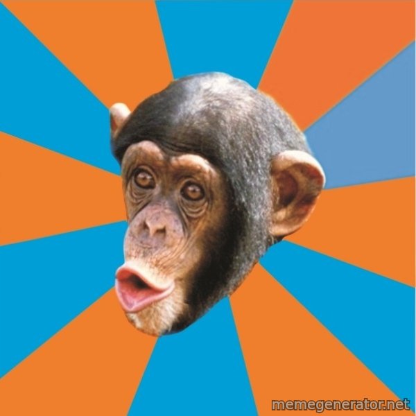 Stupid Monkey meme template