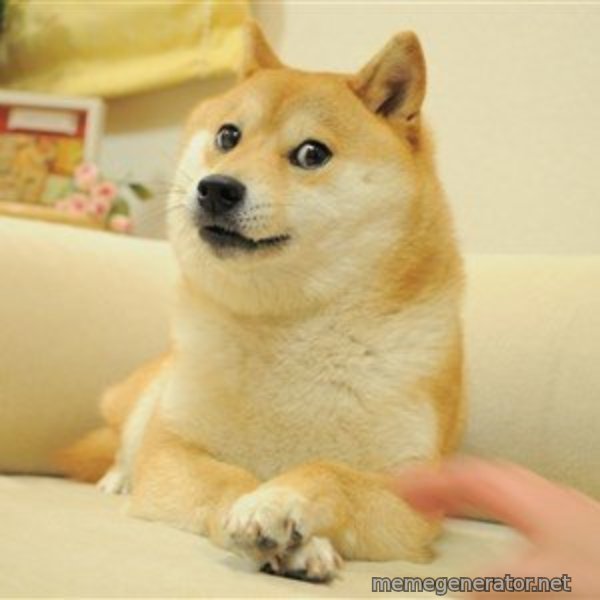 so doge meme template